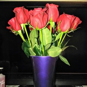 Meet your Posher, Libby